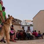 Sellés, mitjançant aquests actes, pretén fer rellevant el visir Al-Azraq, una personalitat quasi desconeguda a la seua pròpia terra i lloc d’origen. El beniarresí va esclarir dubtes, desmentí mites i, així, fent memòria, li atorgà el lloc en la història que mereix. La gira literària d’Al-Azraq "El blau" comença a la torre medieval d’Almudaina