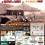 El IV Concurs de gossos de ramat de la Valleta d'Agres serà el 29 de maig