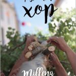 Millena viu la Festa del Xop del 2 al 16 de juliol