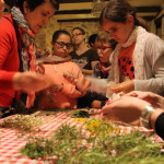 El Solstici d'Estiu arriba amb una nit de bruixes i misteri al Barranc de l'Encantada