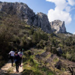 La jornada s'inicià amb una excursió per a tota la família guiada per Antoni Orengo, on poguérem reconéixer una gran diversitat de plantes autòctones, així com els seus usos i particularitats més curioses. Finalitzada l'excursió, alguns caminants decidiren pujar fins al paratge de la Cova del Frare, d'altres, inclús, s'animaren a visitar La Foradà. A més a més, Orengo oferí una xarrada-presentació al voltant del seu llibre sobre etnobotànica "Herbari bell del País Valencià". L'Alineació Solar de la Foradà es consolida com a atractiu turístic a la Vall de Gallinera