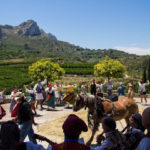 La tradicional Festa de la Cirera va cloure el passat diumenge amb una molt notable participació i assistència als pobles de Benissivà i Benitaia, les localitzacions amfitriones de la setzena edició de l'esdeveniment. Durant aquests dies, els xicotets agricultors de la zona veuen recompensat el treball al camp durant tot un any, i deixen constància de la gran qualitat del seu producte estrella: la cirera. No debades, el percentatge de producció de cireres que s'exporta a la resta d'Europa compta amb la certificació de qualitat internacional. La Festa de la Cirera clou la XVI edició amb molt d'èxit a la Vall de Gallinera