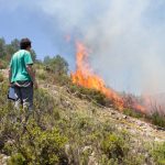 https://youtu.be/4PQMbmOOeMA Incendis i canvi climàtic: entrevista al Centre d’Estudis Ambientals del Mediterrani
