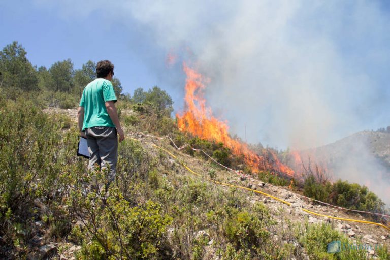 Incendis i canvi climàtic: entrevista al Centre d’Estudis Ambientals del Mediterrani