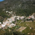 Forna celebra les festes d'estiu a Sant Bernat i Sant Antoni del 15 al 20 d'agost