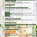 Arrela't a Palmera se celebra els pròxims 23 i 24 de novembre
