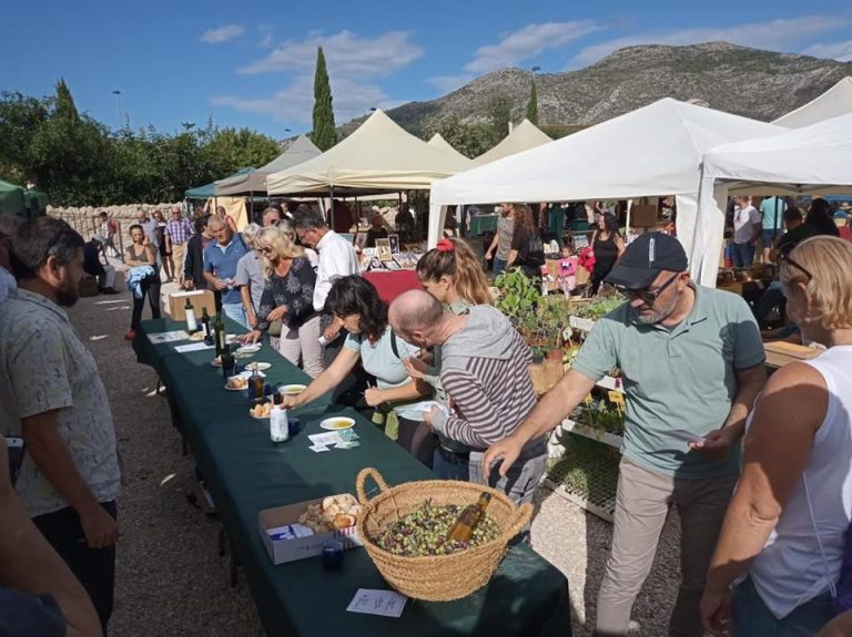 Olis de Diània creen un oli de qualitat prèmium amb història i identitat