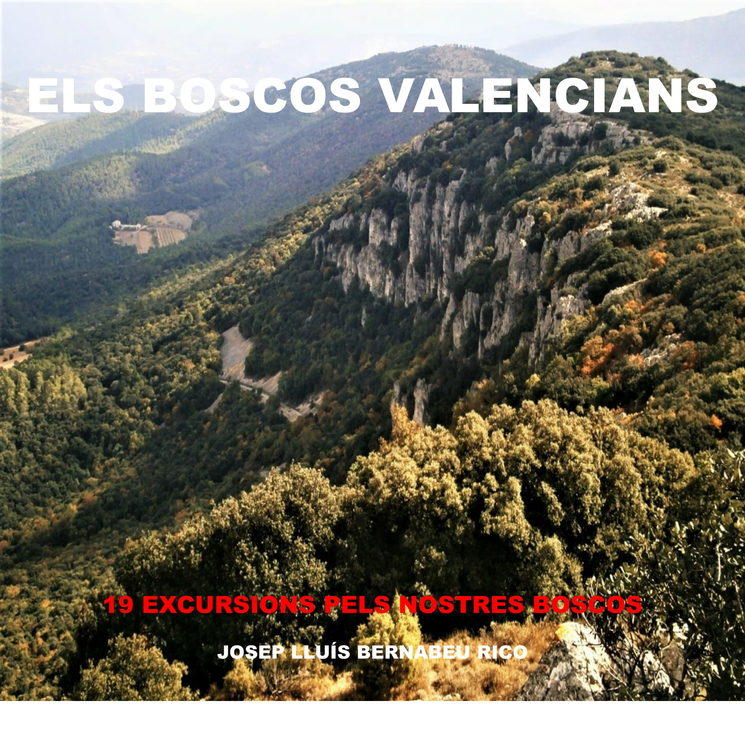El castellut Josep Lluís Bernabeu explora ‘Els boscos valencians’ al seu tercer llibre