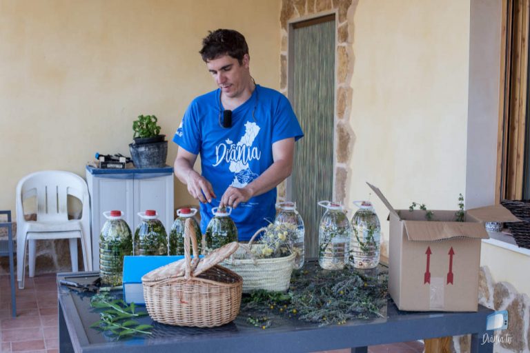 Herbero Diànic (i 7) – La recepta d’herberet