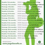 Rutes Guiades Pego i les Valls 2021