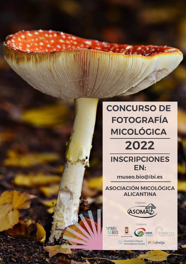 Participa en el Concurs de Fotografia Micològica d’ASOMA