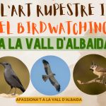 Birdwatching Vall Albaida 2023
