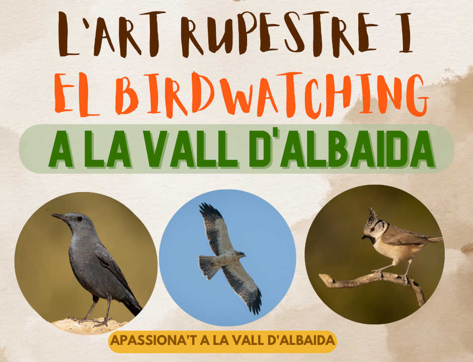 Birdwatching Vall Albaida 2023