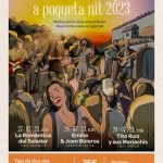 Música entre vinyes a poqueta nit