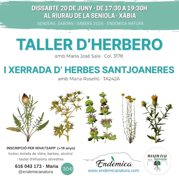Taller Herbero